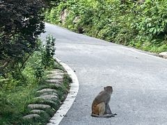 -姑婆山旅游区