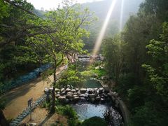 -白水寺森林公园