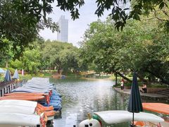 -晓港公园