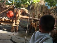 -泉州海丝野生动物世界