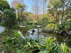 -深圳国际园林花卉博览园