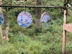 -中国大熊猫保护研究中心雅安碧峰峡基地