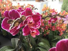 -南通洲际绿博园