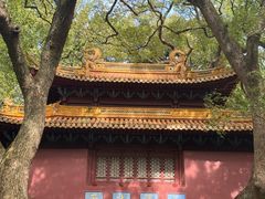 -普陀山风景名胜区-法雨禅寺