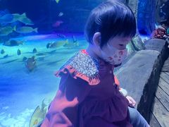 -沈阳海洋探索中心