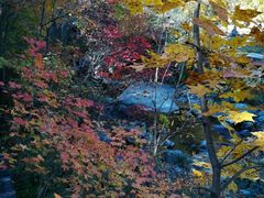 -丹东天桥沟景区