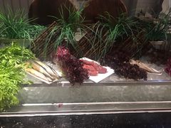 -昆山琶拉帝诗酒店·河畔咖啡厅Riverside Cafe