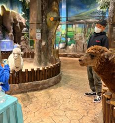 -宝燕乐园(闵行旗舰店)