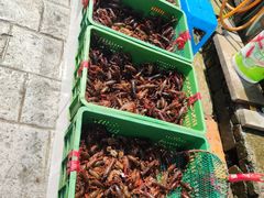 -青石桥市场北1-27号