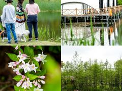 -上海长兴岛郊野公园