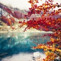 -薇兰专业脱毛连锁机构