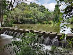 -桤木河湿地公园