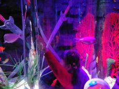 -沈阳海洋探索中心