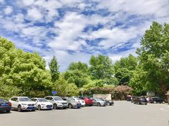 -大宁郁金香公园-停车场