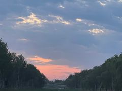 -东郊湿地公园