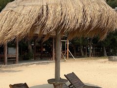 -北海金海湾红树林生态旅游区