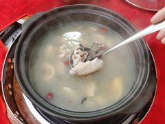 -花苑美食横琴生蚝火锅(拱北粤华路店)