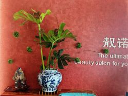 点击看大图 -栖木行空·女子定制美肤·芳香疗愈SPA