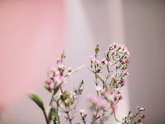 -PARFUM FLORAL花境法餐(南京首店)