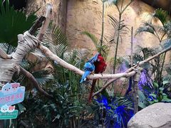 -杭州开元森泊度假乐园