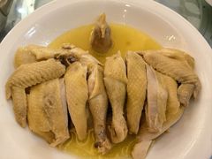 三十九年氧吧鸡-鹭园酒家·四十年老字号