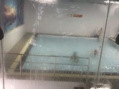 -DBSWIM深呼吸国际游泳培训(建国宾馆店)