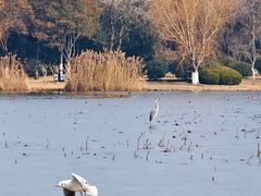 -云龙湖旅游景区