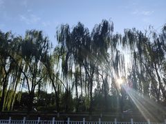 -皇家御河游(紫御湾码头)