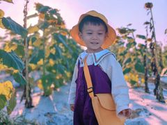 -光明小镇欢乐田园