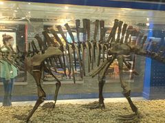 -国家自然博物馆