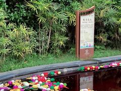 -剑河仰阿莎温泉小镇