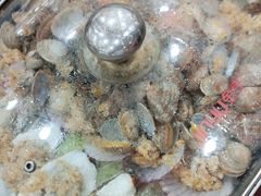 -良友·海鲜青岛菜(五四广场店)