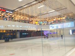 -TheRink大零溜冰场(IFS国金中心店)