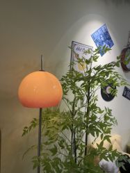 -变美丽半永久纹眉连锁·机器野生眉•洗眉