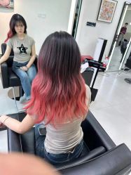 -FINE HAIR 烫染专业设计