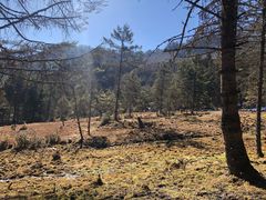 -硗碛藏寨·神木垒景区