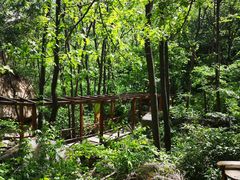 -大岭沟猕猴桃谷风景区