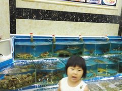 -008海鲜排档(朱家尖2号店)