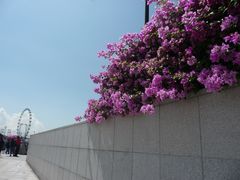 周边-鱼尾狮公园