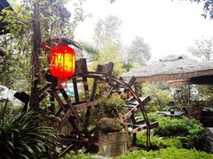 -青城甲(青城山店)