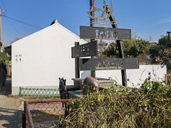 -金山嘴渔村
