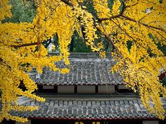 -成都市文殊院
