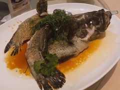 -金苑海鲜酒家(来魅力店)