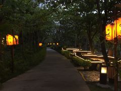 -三亚珠江南田温泉度假区