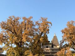 -北京石刻艺术博物馆(五塔寺)