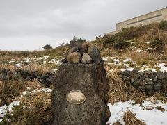 -涉地可支