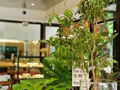 -小西家作(富力爱丁堡店)