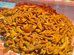 -暨南大学(珠海校区)