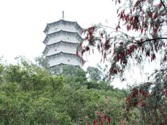 -深圳国际园林花卉博览园