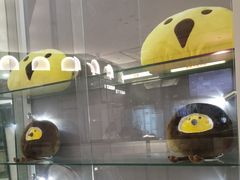 -椰小鸡·琼州糟粕醋·火锅(美兰缤纷城店)